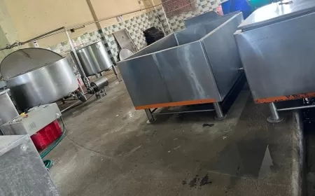 Task Force Raids Kohinoor Dairy Products Unit Near Hyderabad, Lists Multiple Violations