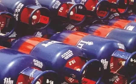 LPG Price Hike: Commercial Gas Cylinder Prices Rise by ₹62; Check Rates in Delhi, Mumbai, Kolkata, Chennai