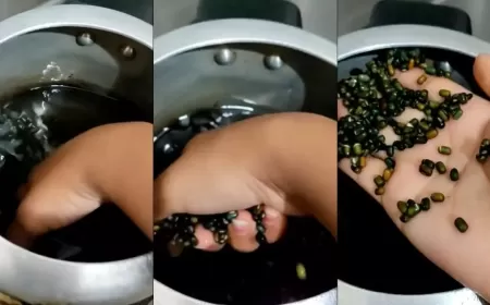 'Mamla Gadbad Hai': Journalist Exposes Adulterated Black Lentils in Himachal Pradesh