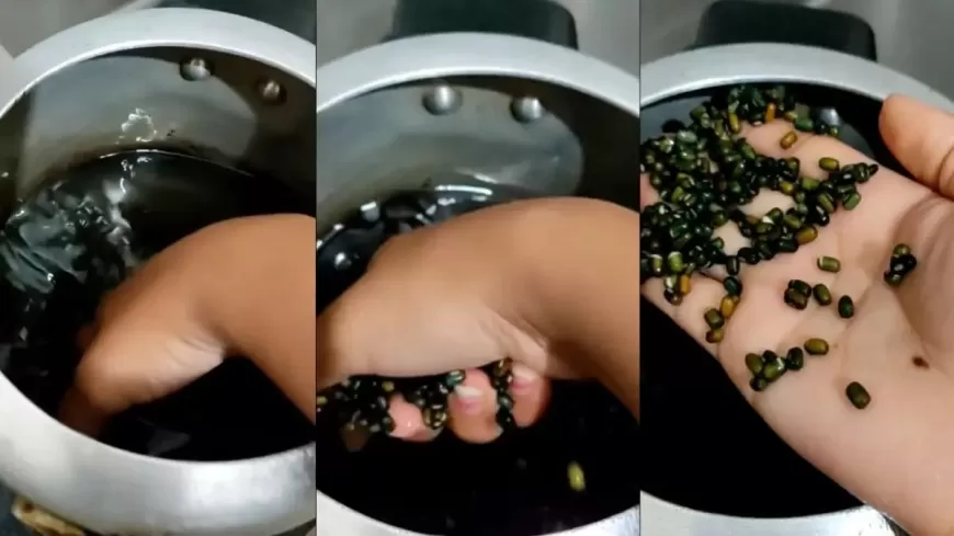 'Mamla Gadbad Hai': Journalist Exposes Adulterated Black Lentils in Himachal Pradesh