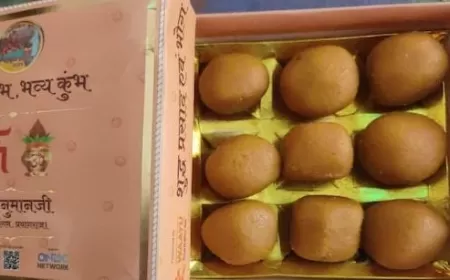 Maha Kumbh 2025: Food Delivery Apps to Deliver 1.5 Crore Mahaprasad Orders Nationwide