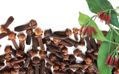 Clove: The Tiny Spice from the Spice Islands with a Big Flavor and Bigger Story!