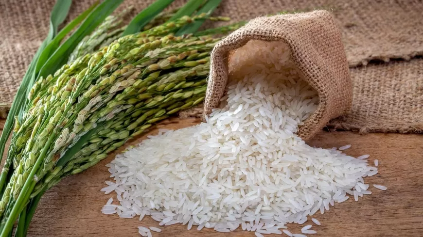 Indonesia to Import 10 Lakh Tonne Non-Basmati White Rice from India: Shivraj Singh Chouhan