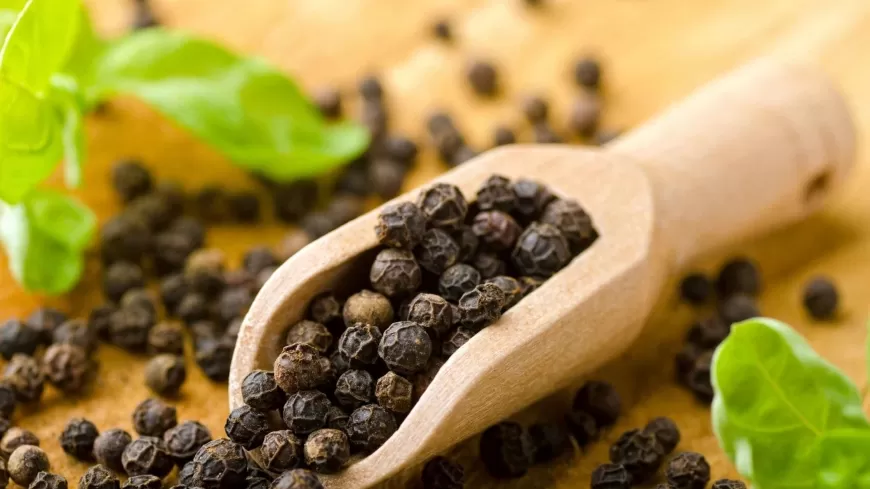 The Black Gold of India "Black Pepper" : A Culinary Icon with a Storied Legacy