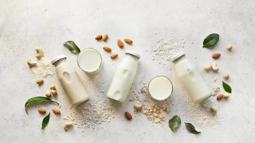 Plant-Based Dairy: A Market Full of Opportunities