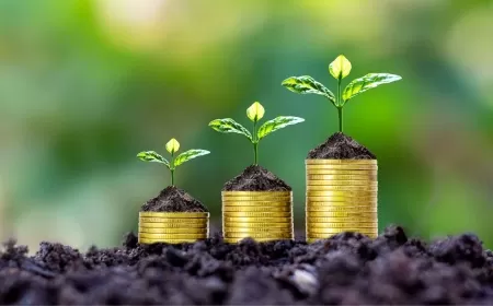 Economic Survey 2024-25: Food Inflation Remains High Despite Overall Decline