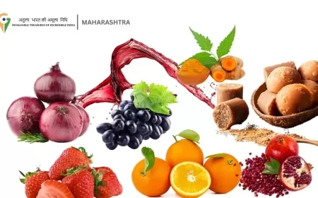 GI Tagged Products of Maharashtra: A Complete List