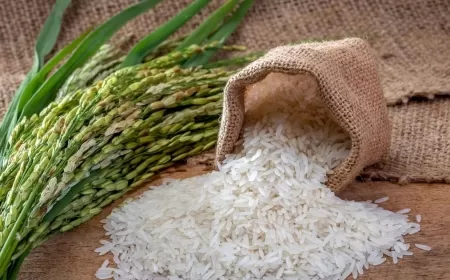 India Denies Pakistan's Claims of Basmati Ownership Recognition in New Zealand, Australia