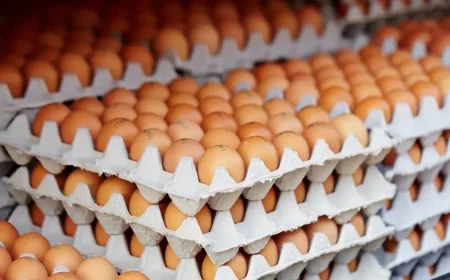 Swiggy Instamart Users Complain About Unavailability of Eggs and Meat on Maha Shivratri