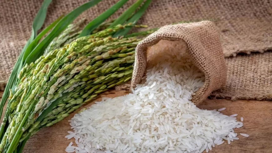 India Denies Pakistan's Claims of Basmati Ownership Recognition in New Zealand, Australia