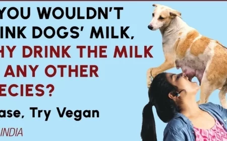 PETA’s ‘Dog Milk’ Ad Sparks Outrage Online; Netizens Call It Disturbing and Distasteful