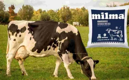 Kerala Court Rules in Favour of Milma, Orders ₹1 Crore Compensation in Trademark Dispute With 'Milnna'