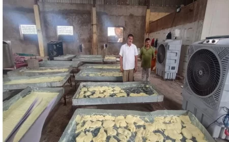 Large Quantity of Adulterated Ghee and Paneer Seized in Hyderabad Raids