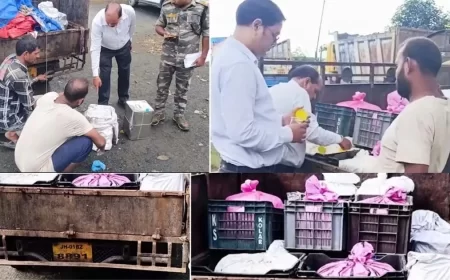 FSSAI Raids Vehicle in Ranchi; Seizes 560 Kg Adulterated Paneer, Ghee & Cream