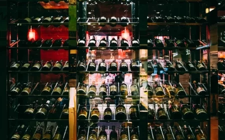 Andhra Pradesh Liquor Scam: Tilaknagar Industries, Bira's B9 Beverages, SNJ Sugars Named in Chargesheet