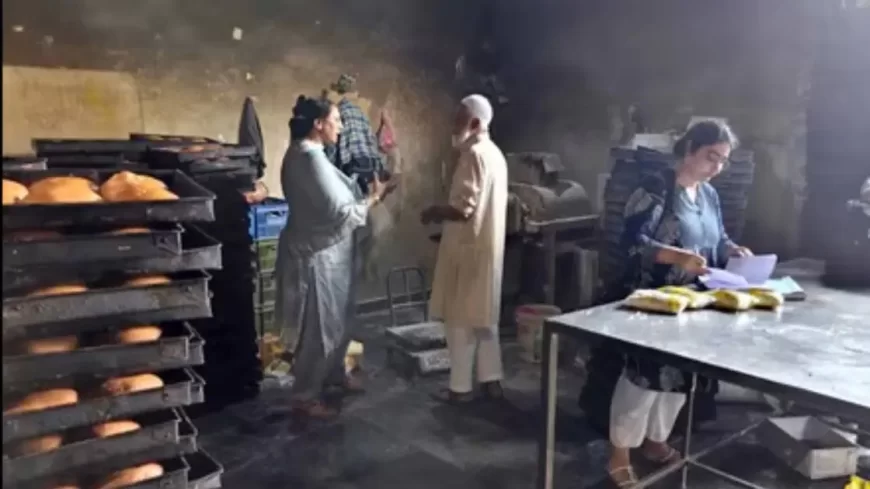 Ludhiana: Three Bakery Units Penalised for Unhygienic Practices During Food Safety Drive