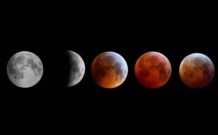 Lunar Eclipse 2025: Food and Health Myths You Shouldn’t Believe