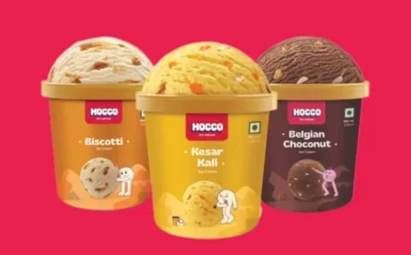Hocco Ice Cream Bags ₹115 Cr Funding at ₹2,000 Cr Valuation, Eyes Aggressive Expansion