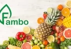 Fambo Raises ₹21.55 Crore from AgriSURE Fund and EV2 Ventures to Strengthen Tech-Driven Food Supply Chain