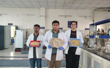 IIT Roorkee Researchers Turn Wheat Straw Into Eco-Friendly Tableware To Tackle Stubble Burning