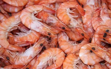 Australia Lifts 8-Year Ban, Approves First Import of Indian Prawns from Andhra Pradesh