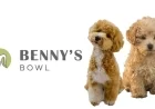 Benny’s Bowl Raises $1.4 Million in Pre-Series A Round Led by Atomic Capital to Scale Pet Nutrition Business