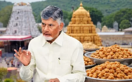 TTD Laddu Ghee Controversy Deepens: Naidu Alleges “Bathroom-Cleaning Chemicals”; SIT Flags ₹250 Crore Adulteration Scam