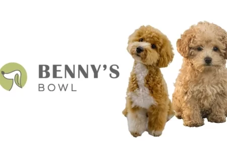 Benny’s Bowl Raises $1.4 Million in Pre-Series A Round Led by Atomic Capital to Scale Pet Nutrition Business