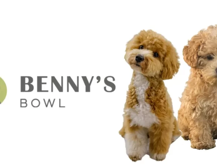 Benny’s Bowl Raises $1.4 Million in Pre-Series A Round Led by Atomic Capital to Scale Pet Nutrition Business