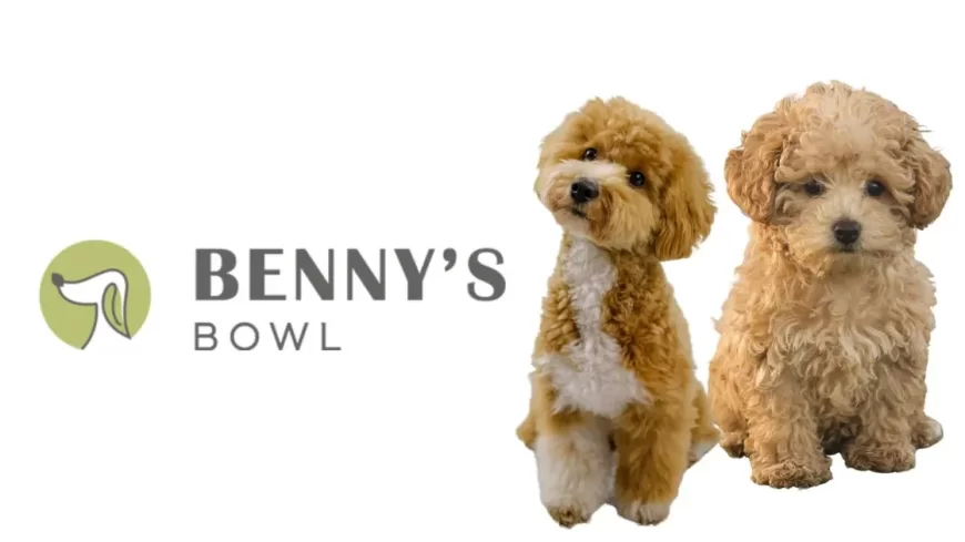 Benny’s Bowl Raises $1.4 Million in Pre-Series A Round Led by Atomic Capital to Scale Pet Nutrition Business
